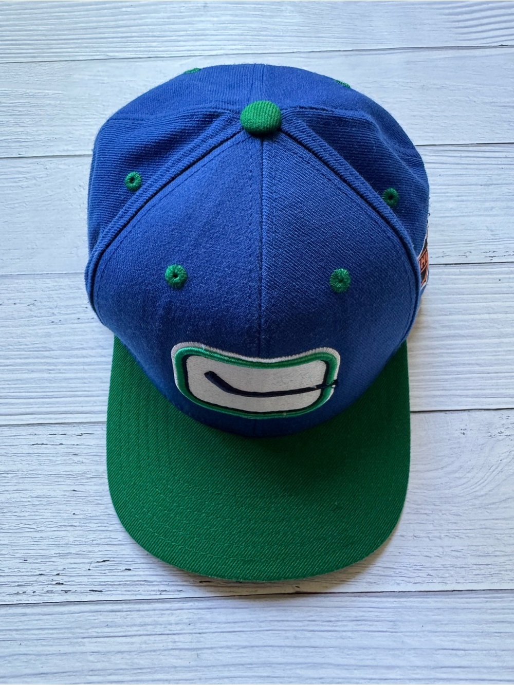 VTG American Needle Vancouver Canucks NHL Hockey Snapback Hat Stick in Rink